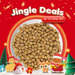 5'Spice Peanut Cracker 1Kg [Best before 30 Mar 2026]